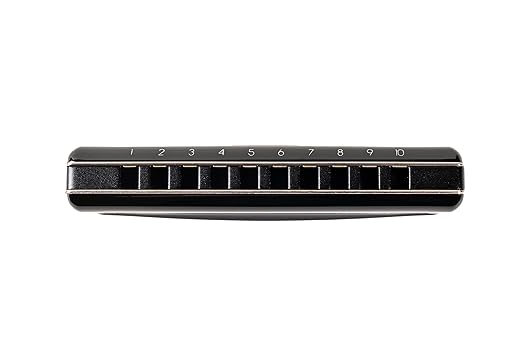 Suzuki Harmonica, F Promaster-Hammond