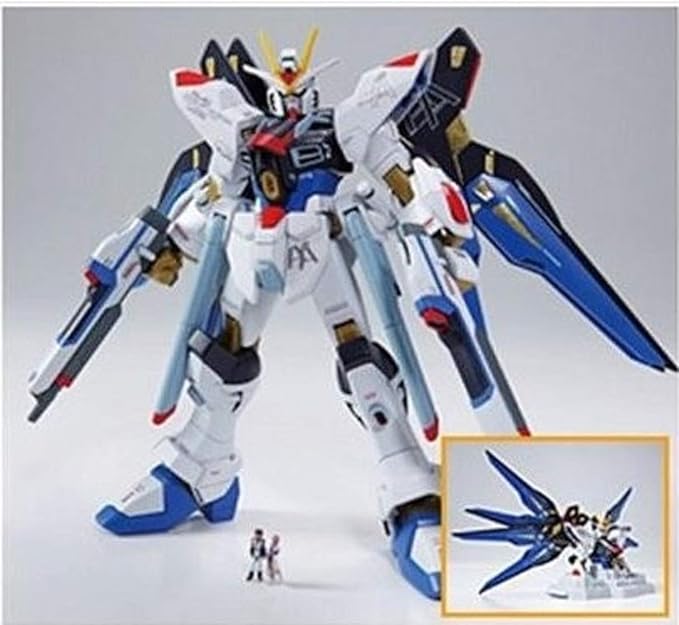Gundam Front Tokyo Limited hg 1/144 Zgmf-x20a Strike freedom Gundam Ver.gft Model Kit  by Bandai