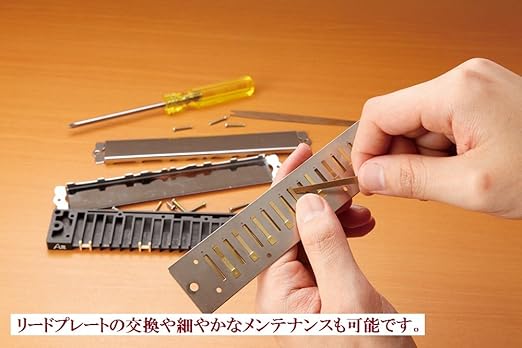 Suzuki 21 hole double sound harmonica Suzuki high class Haming SU - 21 W C tone