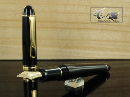 Platinum Fountain Pen #3776 Century Music [PNBM-20000#1]