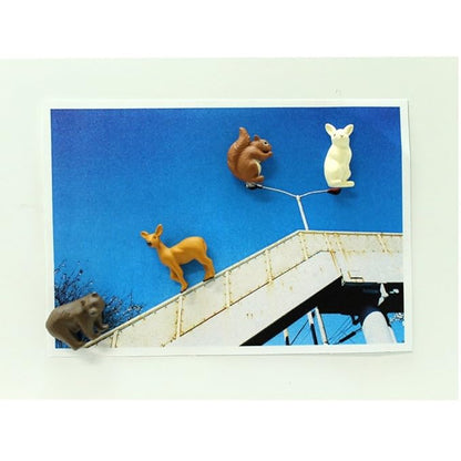 Midori Mini Magnet, Forest Animals (49758006)