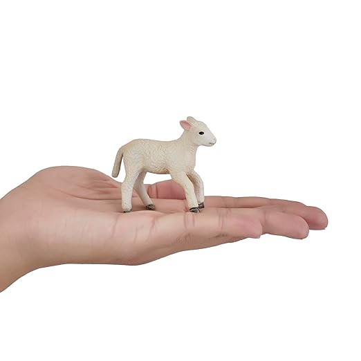Mojo  Romney Sheep Lamb Running
