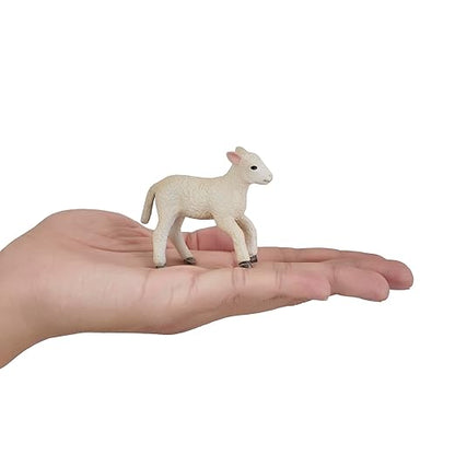 Mojo  Romney Sheep Lamb Running