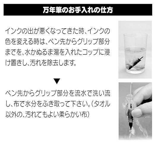 Platinum Fountain Pen, Plaisir Medium Nib, Ice White (PGB-1000B-#3-M)