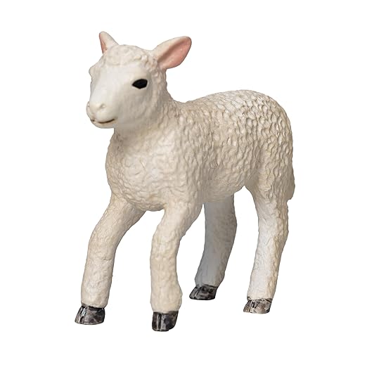 Mojo  Romney Sheep Lamb Running
