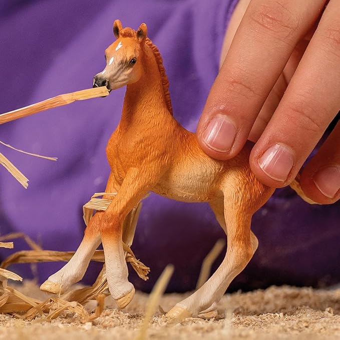 Schleich Horse Club Arabian (foal) 13984