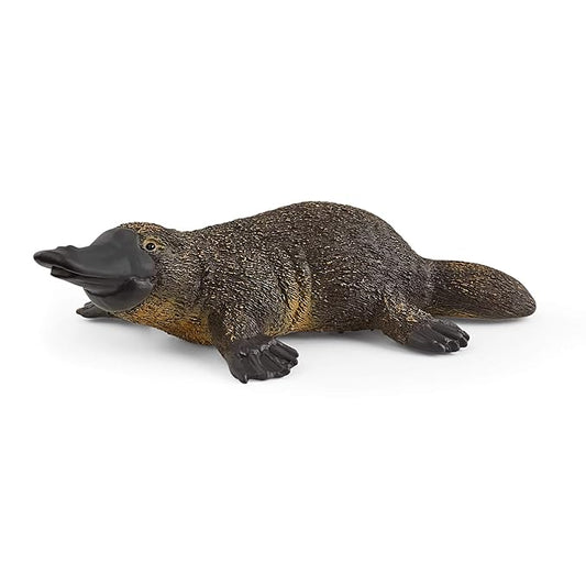 Schleich Wild Life, Animal Figurine, Animal Toys for Boys and Girls 3-8 years old, Platypus