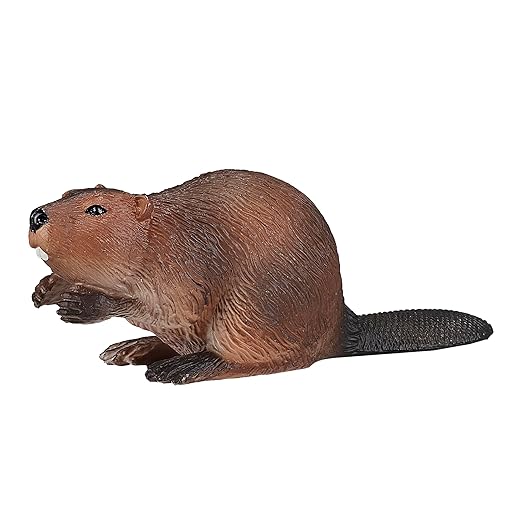 Mojo Beaver