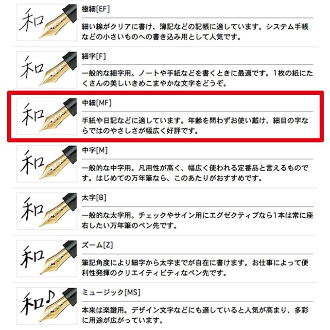 Sailor Pen fountain pen professional fit standard 21 in the shape 11-1521-420 Black (Medium Fine)