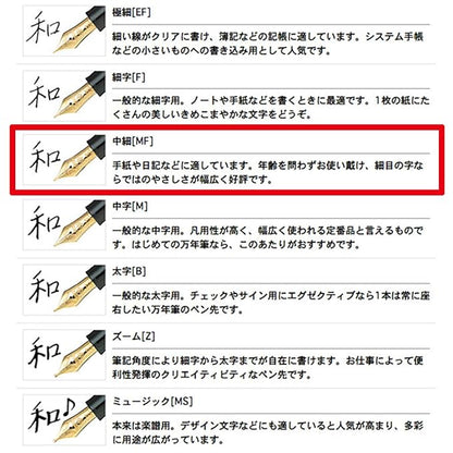 Sailor Pen fountain pen professional fit standard 21 in the shape 11-1521-420 Black (Medium Fine)