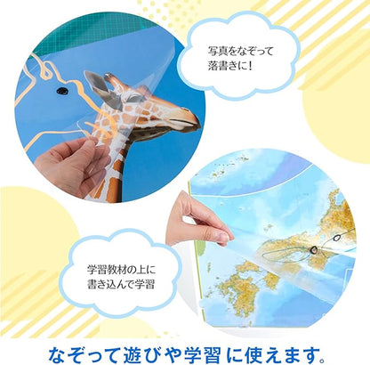 Sailor Fountain Pen, Dry Erase Board, Anywhere Sheet, Clear, 31-3501-000