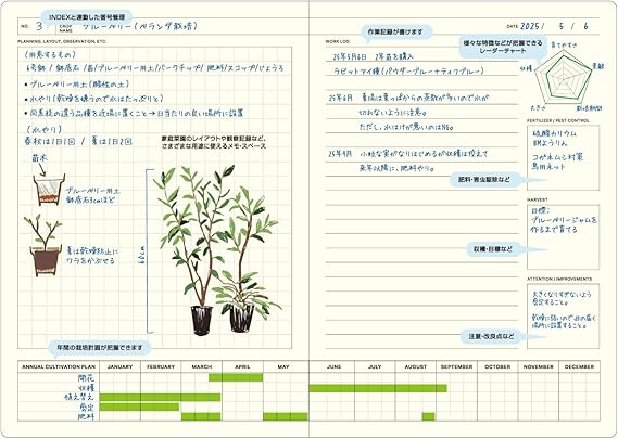 Laconic Style Notebook B6 Green LGF43