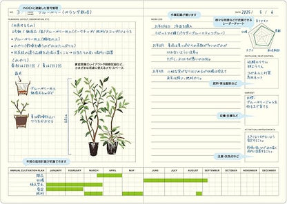 Laconic Style Notebook B6 Green LGF43
