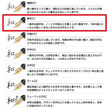 Sailor Pen fountain pen professional fit standard 21 in the shape 11-1521-420 Black (Fine Nib)