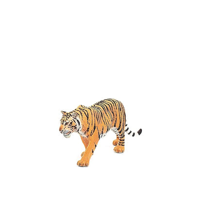 Scheich Tiger, Multi Color