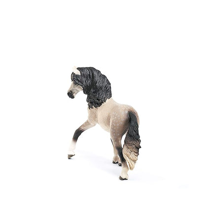 Scheich Andalusian Mare, Multi Color - Andalusians