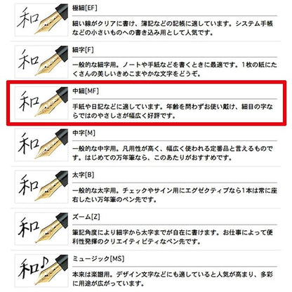 Sailor Pen fountain pen profit Standard in fine 11-1219-320 Black