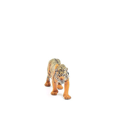 Scheich Tiger, Multi Color