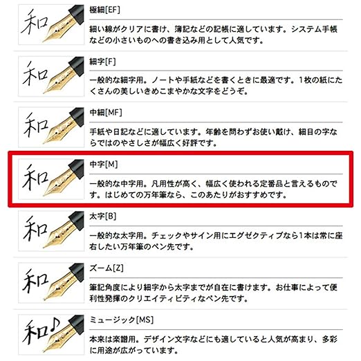 Sailor profit 21 fountain pen Marne M ? in words