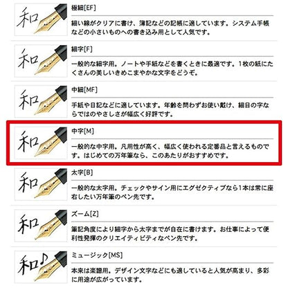 Sailor profit 21 fountain pen Marne M ? in words