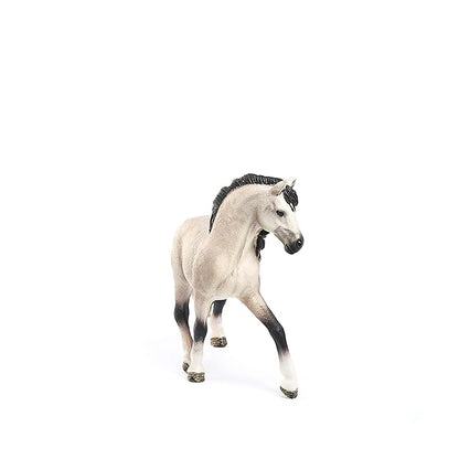 Scheich Andalusian Mare, Multi Color - Andalusians