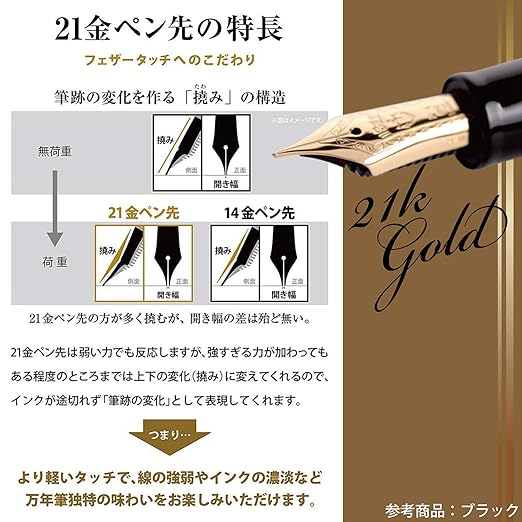 Sailor profit 21 fountain pen Marne M ? in words