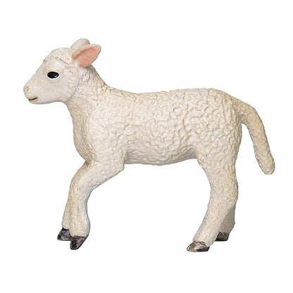 Mojo  Romney Sheep Lamb Running