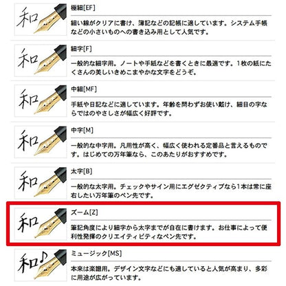 Sailor Pen fountain pen profit 21 zoom 11-2021-720 Black