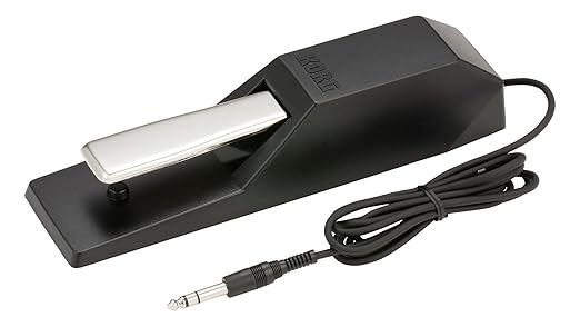 Korg Portable Keyboard (DS1H)