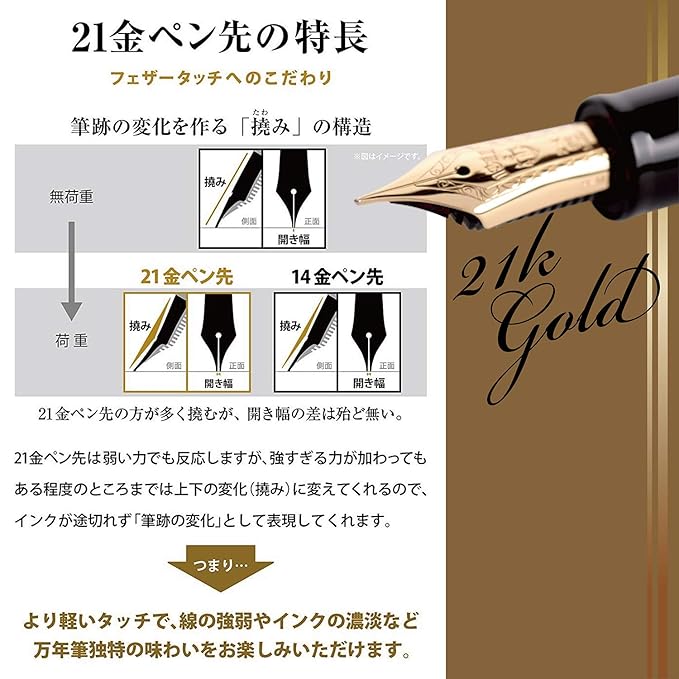 Sailor 11-2021-420 Pro Fit 21 Fountain Pen, Black, Medium Point, Black