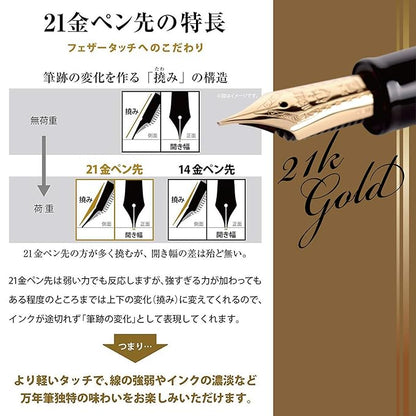 Sailor 11-2021-420 Pro Fit 21 Fountain Pen, Black, Medium Point, Black