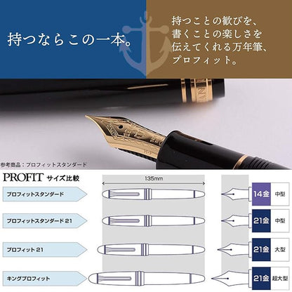 Sailor fountain pen  profit 21 silver black faint 11-2024-220
