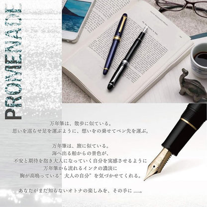 Sailor Promenade 11-1031-320 Fountain Pen (Black, Medium Fine)