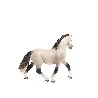 Scheich Andalusian Mare, Multi Color - Andalusians