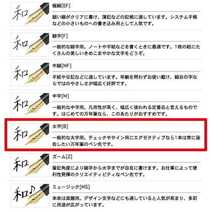 Sailor Pen fountain pen professional fit standard 21 in the shape 11-1521-420 Black (Bold Nib)