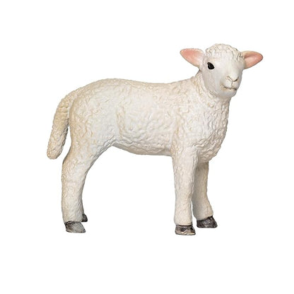 Mojo  Romney Sheep Lamb Standing