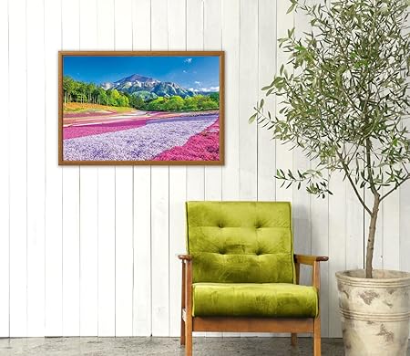 Apple One 1000 Piece Jigsaw Puzzle, Spring Carpet Hitsuchiyama Park