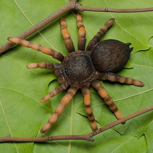 Collecta Mexican Redknee Tarantula, Multi Color
