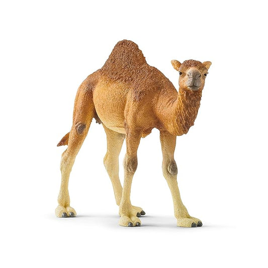 Schleich Wild Life Arabian Camel Dromedary Toy Figurine for Kids Ages 3-8 with 1 Hump