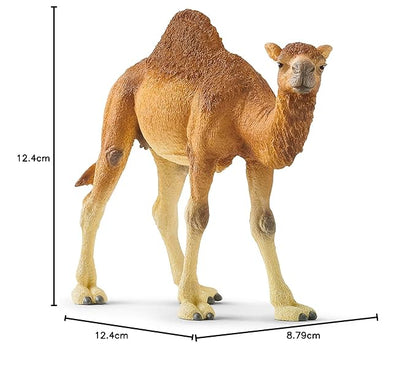 Schleich Wild Life Arabian Camel Dromedary Toy Figurine for Kids Ages 3-8 with 1 Hump