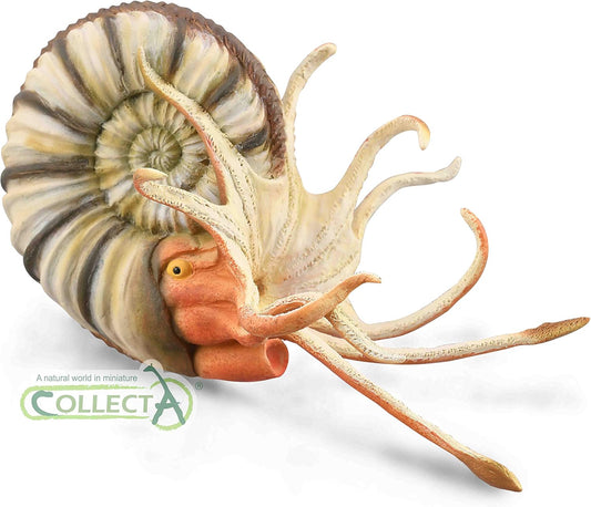 COLLECTA 88902 Pre-Eurocellus Ammonite Dinosaur Figure