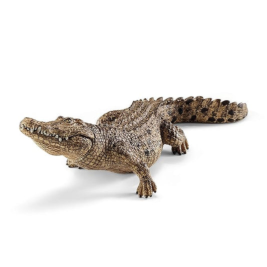 Scheich  Crocodile, Multicolour