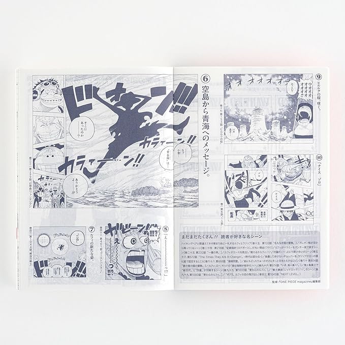 Hobonichi 2025 Original (A6) One Piece, Japanese [A6/1 Page Per Day (Special Edition)/January/Monday]