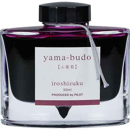 Pilot Iroshizuku Bottled Fountain Pen Ink, Fuyu-Syogun, Rigor of Winter, Cool Gray (69215)