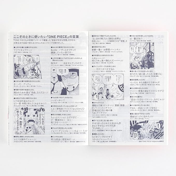 Hobonichi 2025 Original (A6) One Piece, Japanese [A6/1 Page Per Day (Special Edition)/January/Monday]