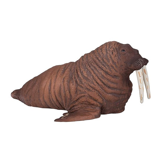 Mojo Walrus Realistic International Wildlife Hand-Painted Toy Figure (387209)
