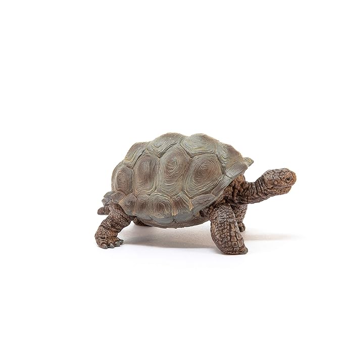 Schleich Wild Life, Animal Figurine, Animal Toys for Boys and Girls 3-8 Years Old, Giant Tortoise