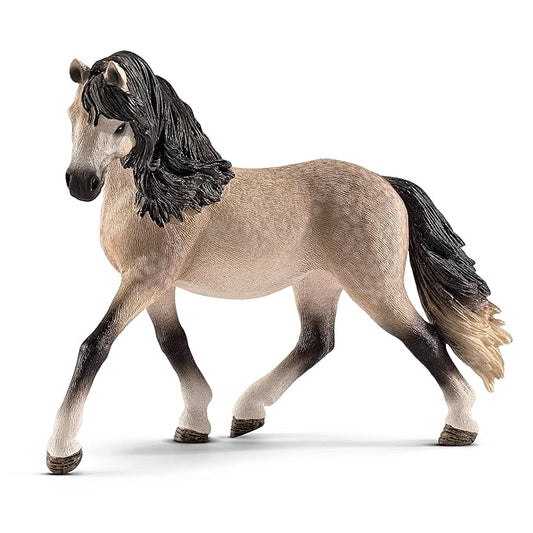 Scheich Andalusian Mare, Multi Color - Andalusians