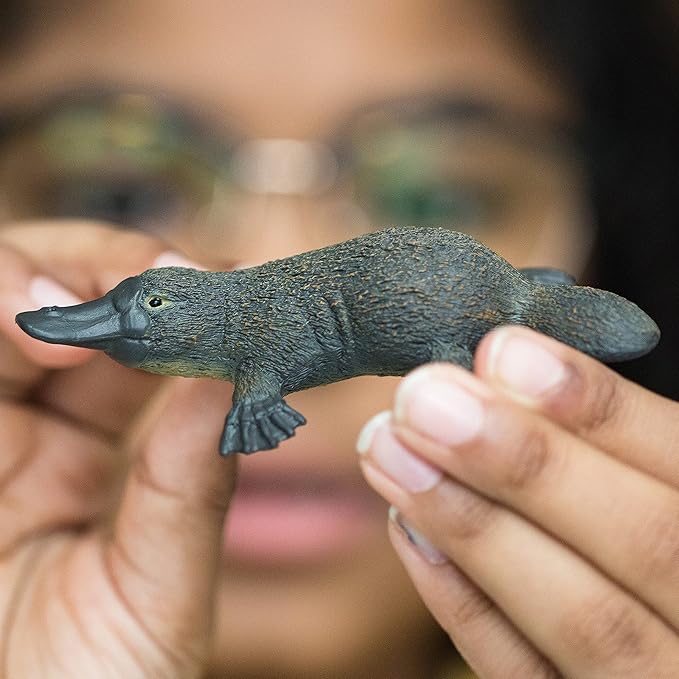 Schleich Wild Life, Animal Figurine, Animal Toys for Boys and Girls 3-8 years old, Platypus