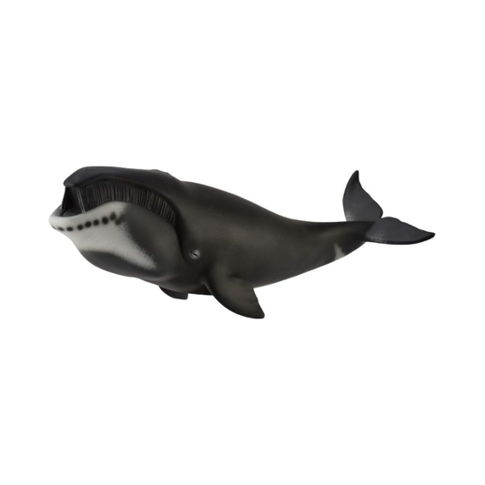 horned whale 88652